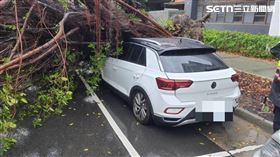 北市昌吉街驚傳路樹倒塌，造成停車格內1部轎車被壓毀。（圖／翻攝畫面）