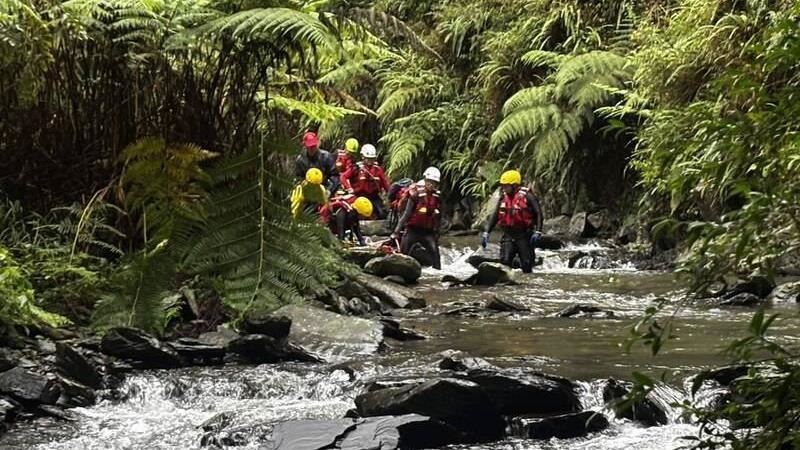 魂斷阿玉山 男山友疑迷路失足墜深潭溺斃