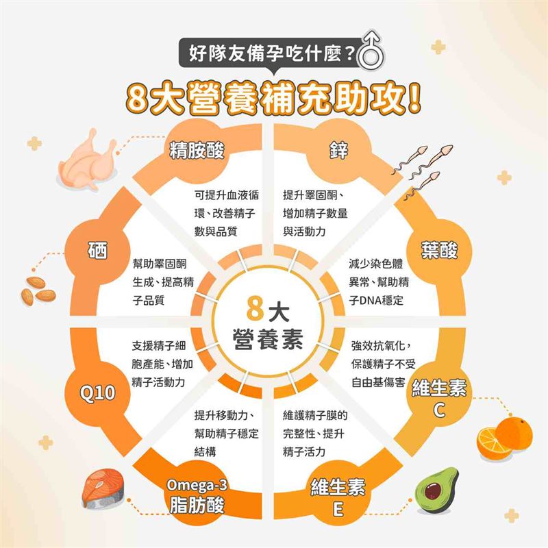 好隊友備孕吃什麼?8大營養補充助攻!(圖/醫健新聞網提供)