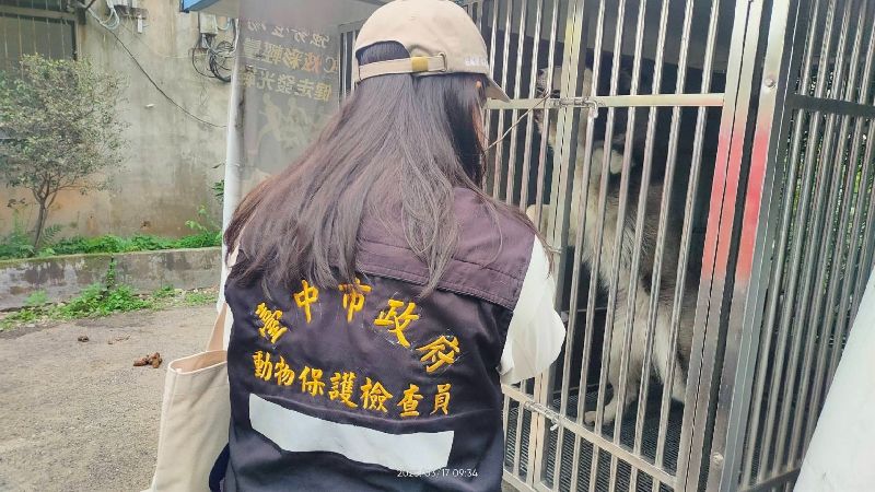 台中市石岡區國校巷傳出有人惡意放餌毒殺犬隻。（動保處提供）