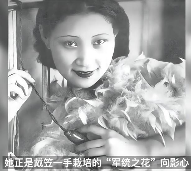 向影心原是上海交際名媛，也是一名女特務，曾為戴笠情婦，後嫁給了毛人鳳。（圖／翻攝自百度百科）