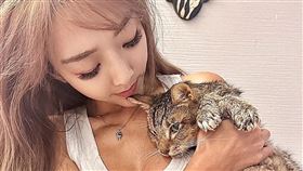 李宓視為兒子的愛貓病逝。（圖／翻攝自李宓IG)