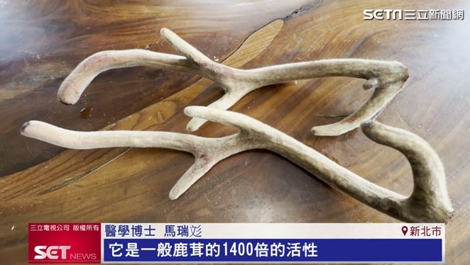 鹿茸多肽中的關鍵活性成分「Act.A」，活性比一般鹿茸高出1400倍。（擷自三立新聞網YT）