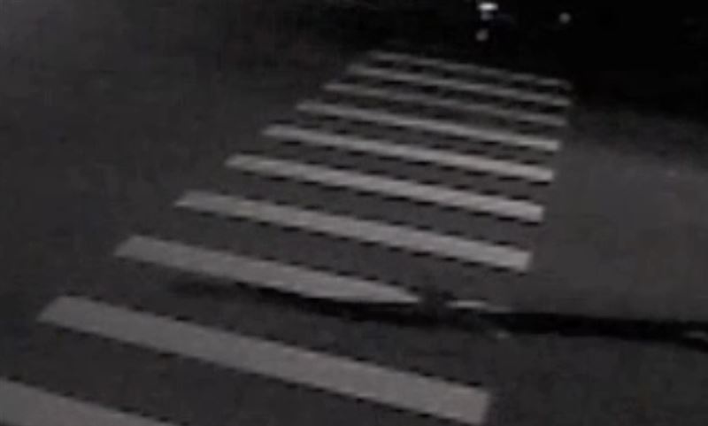 監視畫面中僅可見林男的影子，推測他穿越馬路時違規沒走在斑馬線上。（圖／翻攝畫面）