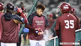 台灣大賽G3，樂天桃猿捕手林泓育賽前打擊練習。（圖／記者劉彥池攝影）