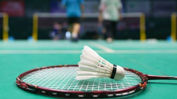 獨／羽毛球不是球　官方認證了