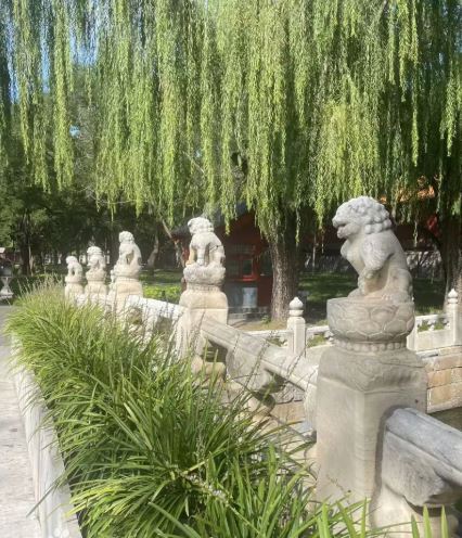 「斷虹橋」的欄杆上雕滿石獅，其中一隻特別引人注目。（圖／翻攝自百度百科）