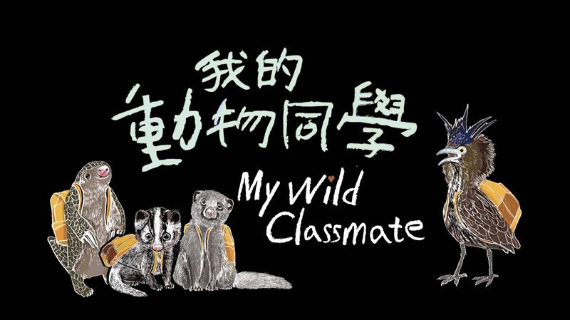 《亞洲貓科大復興》得金鐘獎。白心儀獎獻給曾經當面鼓勵自己的珍古德博士，終身傳遞她的信念。（圖／三立電視台）