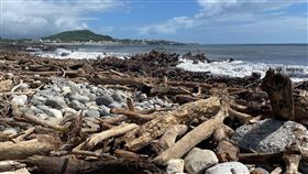 富岡地區。（圖／林保署台東分署）