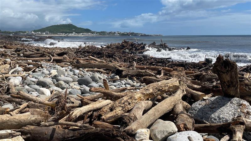漂流木自由撿！台東保安林明起開放