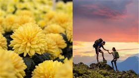 ▲霜降宜靜養心，可飲菊花茶、登高賞景。（圖／CANVA）
