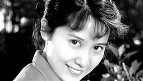 （圖／翻攝自百度百科）