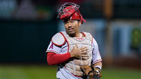 天使新任主帥為日裔美籍捕手鈴木清。（圖／美聯社／達志影像）