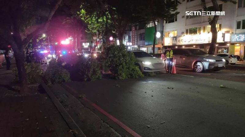 倒塌路樹波及兩台轎車和一台機車