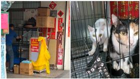 動保處,高雄,老闆,碗粿,動物,貓咪,虐貓（圖／翻攝社會事新聞影音）