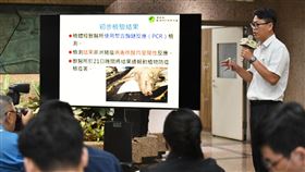 國內疑似爆發重大動物傳染病，台灣出現首例疑似非洲豬瘟案例，農業部10月22日舉行記者會說明。（圖／農業部提供）