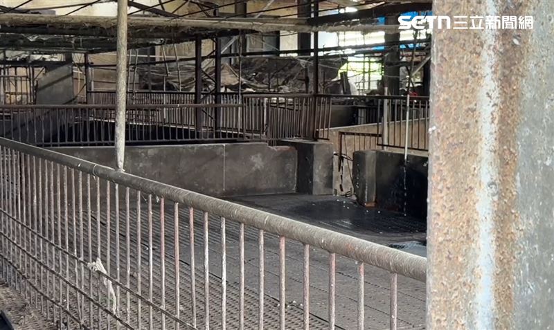 台中梧棲一處養豬場傳出非洲豬瘟疫情，21日已完成195豬隻撲殺，目前封鎖進行清潔消毒。(圖／翻攝畫面)
