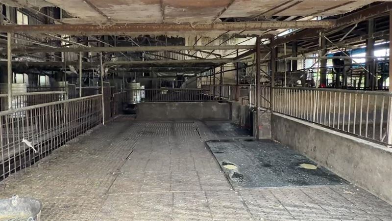 台中爆出非洲豬瘟，目前高雄市也祭出5大措施因應。（圖／翻攝畫面）
