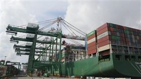 「航海王」Q4兩樣情！反映兩種經營哲學。（圖／遠見雜誌提供） 