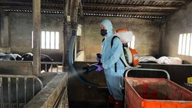 非洲豬瘟,新竹,台中,養豬場,廚餘（圖／新竹市政府提供）