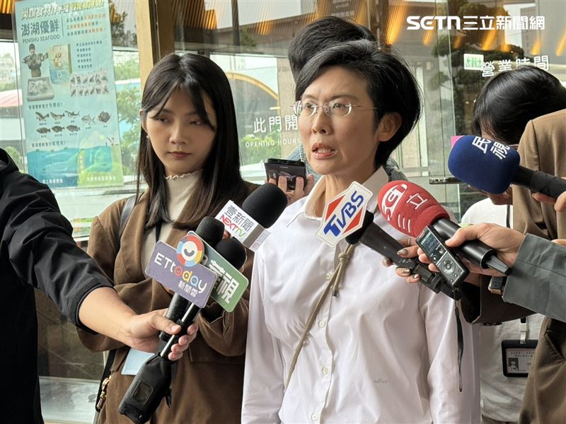 民進黨立委林岱樺出席中執會前受訪（圖／記者劉秀敏攝影）