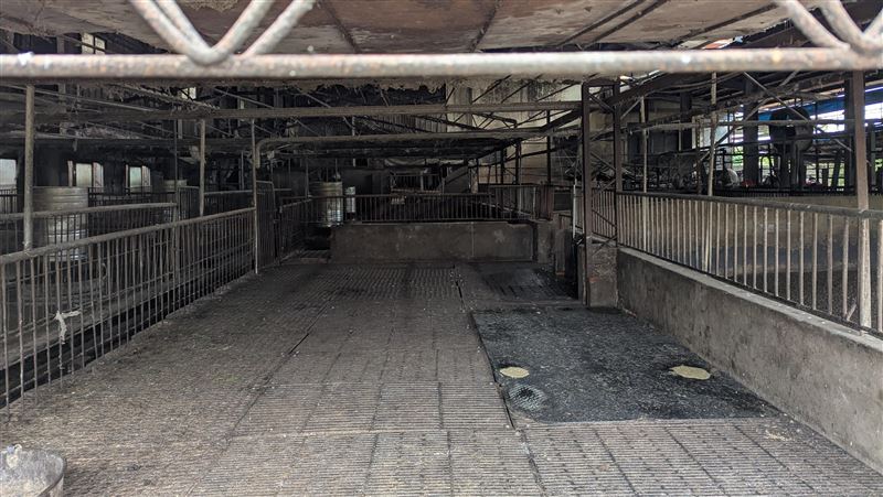 台中廚餘養豬釀禍?他揭這些縣市也用廚餘