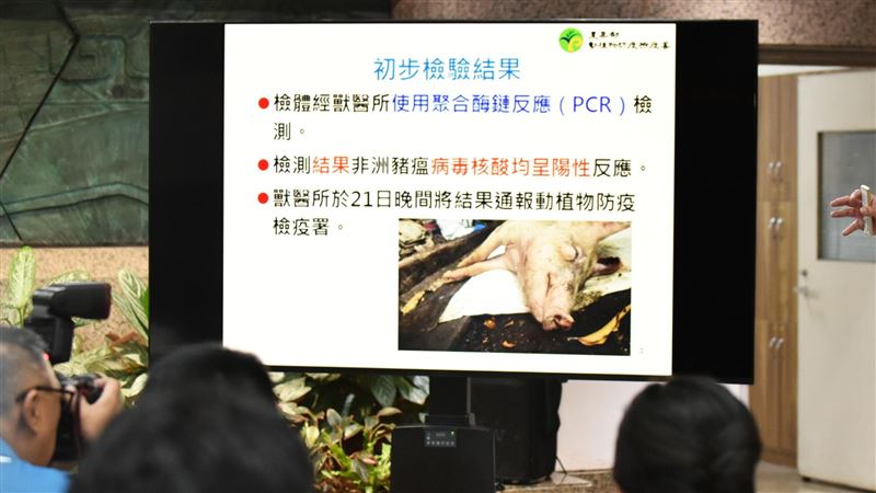 台中爆發非洲豬瘟，農業部下令全國禁宰豬隻5天，並強化防疫、檢疫等措施。（圖／農業部提供）