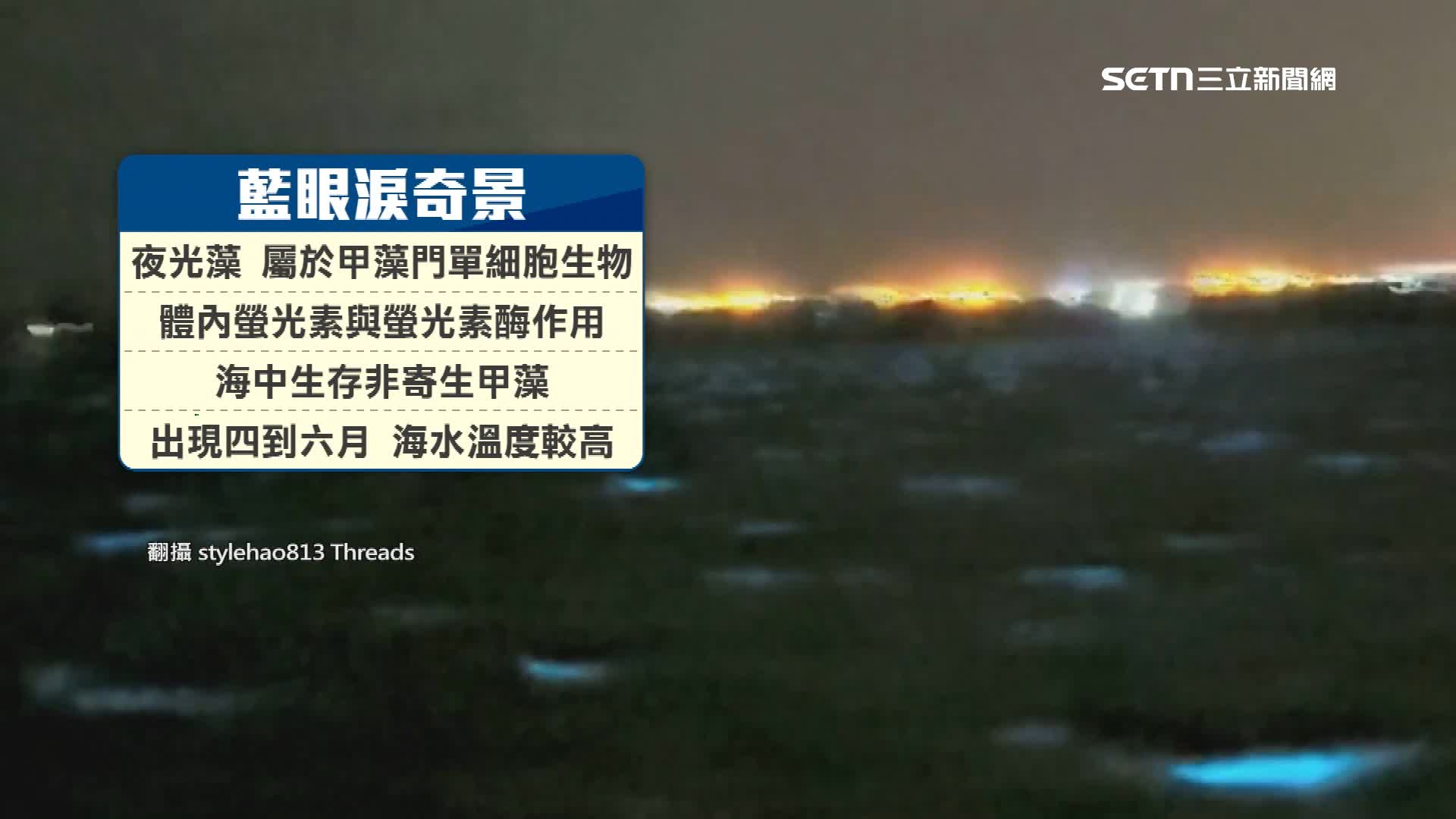 藍眼淚的形成主要是夜光藻的繁殖。（圖／翻攝自Threads @stylehao813）
