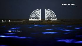 V台南藍眼.淚1200