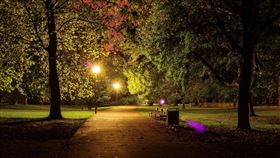 公園,晚上,夜間（示意圖／翻攝自pixabay）