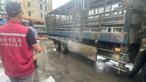 非洲豬瘟侵台!新北訪視全市107家養豬場