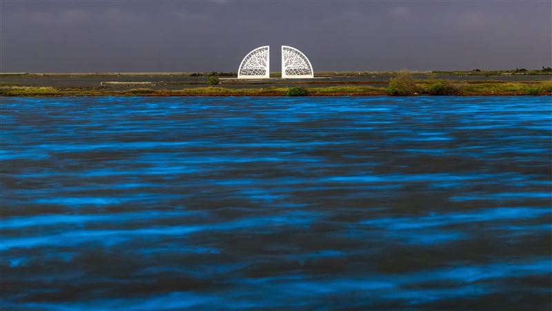 上帝送給台南的奇蹟禮物「藍眼淚」動人