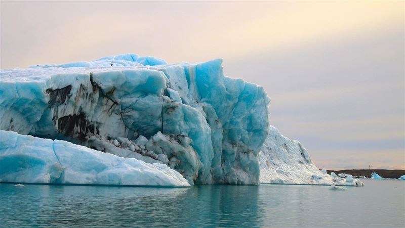 全球唯一「淨土」失守！冰島首度發現蚊子
