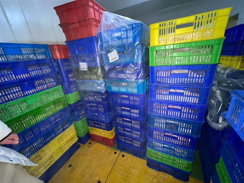 405公斤得病的豬肉流向桃園食品廠，稽查結果都在冷凍庫內，並未使用。（圖／桃園市衛生局提供）