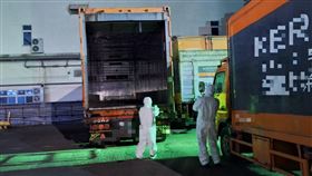 非洲豬瘟,高雄市政府,疫情