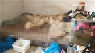 客退租留下「3貓1狗腐屍」　動保處查死因