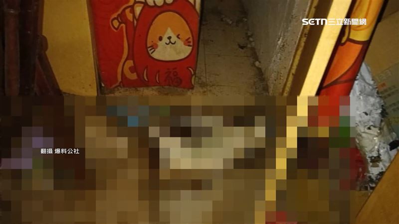 房東檢視房子的過程中，發現屋內有3貓1狗的屍體，疑似被活活餓死