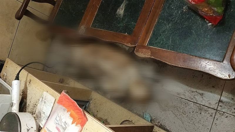 動保處已將腐爛屍體帶回冰存。（圖／翻攝自犬貓認養人黑名單臉書）