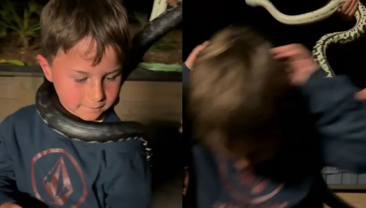 恐怖瞬間！遭蟒蛇咬頭　男童爆血痛哭