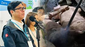 陳其邁,農業部,高雄,非洲,廚餘,豬瘟,感染源,肉品,豬肉,衛生局,市長,COVID-19