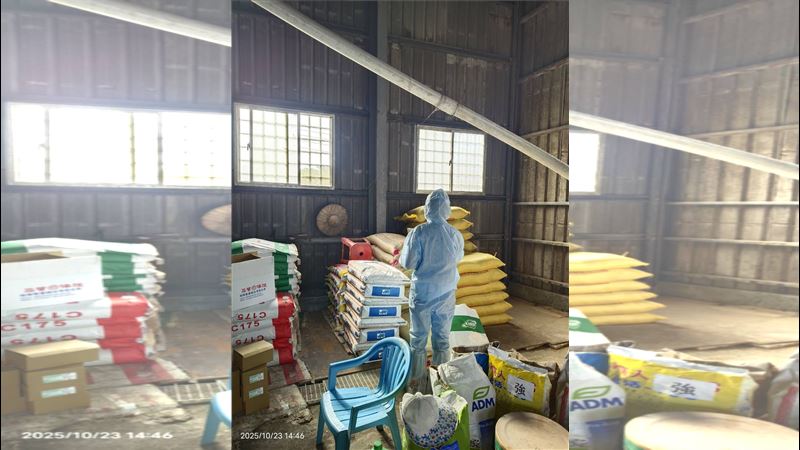 高雄市全面禁止廚餘養豬，所有再利用養豬場未來均改餵飼料。（圖／翻攝畫面）