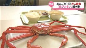 松葉蟹.小學,日本