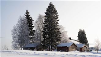 生活在最幸福國家什麼感覺？芬蘭人告訴你