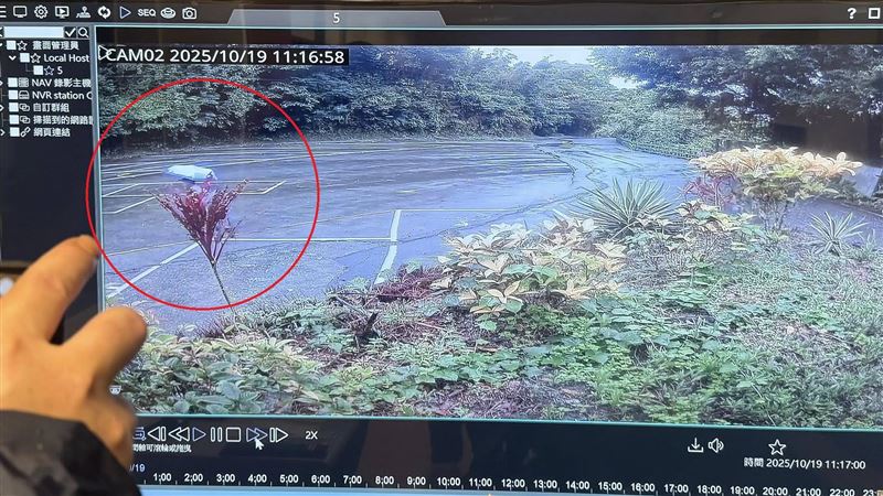 楊翁攀登叢雲山失聯7天，家屬焦急發布50萬懸賞。（圖／翻攝登山借問站）