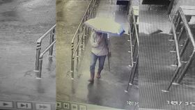 宜蘭,新北三峽,叢雲山,登山,懸賞,50萬。（圖／翻攝登山借問站）