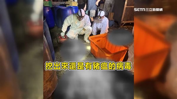 中華民國養豬協會理事長潘連周表示,掩埋是一個很錯誤的觀念