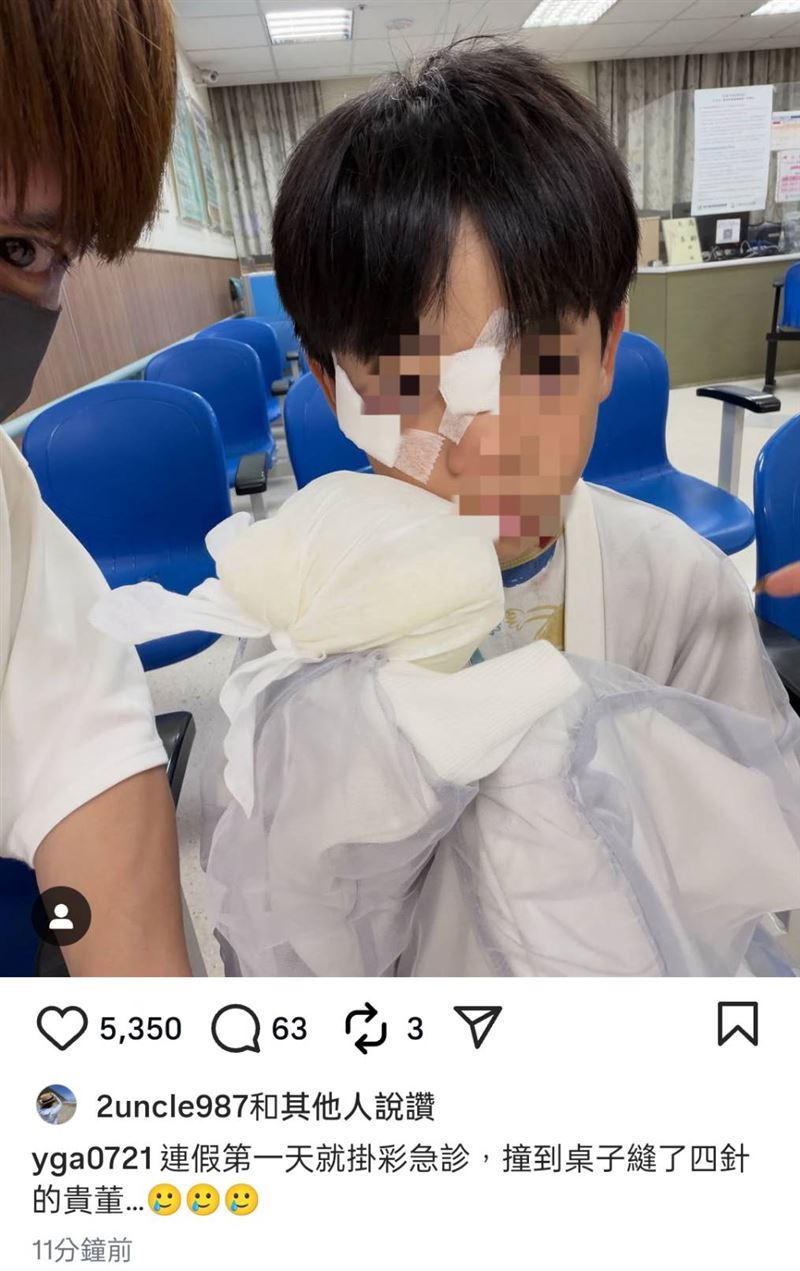 蔡桃貴摔傷。(圖/翻攝自蔡阿嘎IG)
