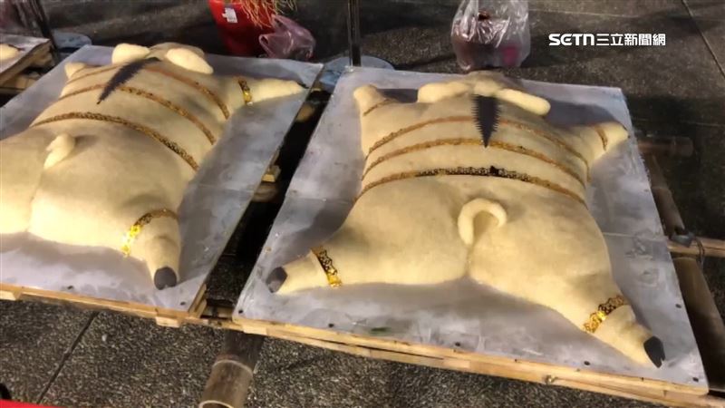 豬瘟禁運禁宰!吉貝耍夜祭糯米豬替代敬獻