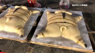 豬瘟禁運禁宰！吉貝耍夜祭糯米豬替代敬獻