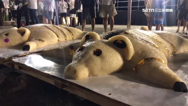 吉貝耍西拉雅族夜祭,今年祭拜糯米豬